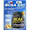 BCAA XPLODE POWDER 20:1:1