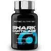 Shark Cartilage