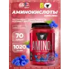 Amino-X 2:1:1
