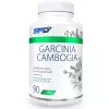 Garcinia Cambogia