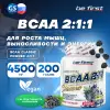 BCAA Classic Powder 2:1:1