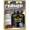 MASS GAINER