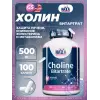 Choline Bitartrate 500 mg