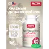 Red Yeast Rice + Co-Q10