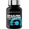 Shark Cartilage