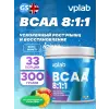 BCAA 8:1:1