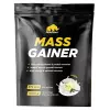 MASS GAINER