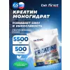 Creatine Micronized Powder (креатин моногидрат)