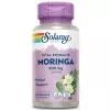 Moringa Leaf Extract 900 mg