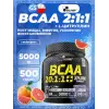 BCAA XPLODE POWDER 20:1:1