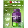 Milk Thistle Plus