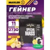 Special Mass Gainer