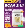 BCAA Powder 2:1:1 Sugar Free EU