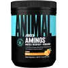 Juiced Aminos