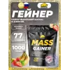 MASS GAINER