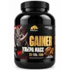 GAINER Ультра Масс