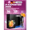 L-Carnitine 3000
