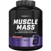 Muscle Mass