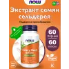 Celery Seed Extract