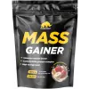 MASS GAINER