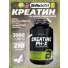 Creatine PH-X 3000 mg