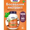 Boswellia Extract 500 mg