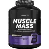 Muscle Mass
