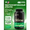 CREATINE POWDER Micronized