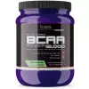 Flavored BCAA 12000 Powder 2:1:1