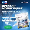 Creatine Micronized Powder (креатин моногидрат)