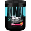 Juiced Aminos