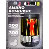 Amino 1900