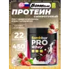 Whey Protein Pro