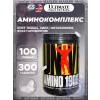 Amino 1900