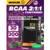 BCAA + Glutamine