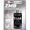 ZMB PRO
