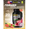 Mass Gainer