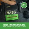 Serious Mass