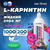 L-Carnitine 3900 mg