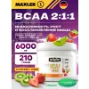 BCAA Powder 2:1:1 Sugar Free EU