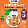 Ginkgo Biloba 60 mg