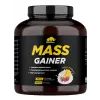 MASS GAINER