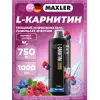 L-Carnitine 3000