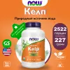 Kelp Powder Organic