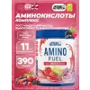 Amino Fuel EAA