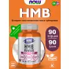 HMB Powder, Sports Recovery