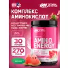 Essential Amino Energy