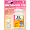B12 methylcobalamin 1000 mcg