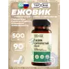 Ежовик гребенчатый