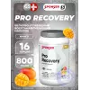 PRO RECOVERY